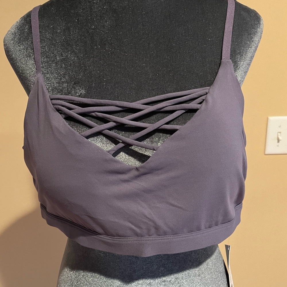 Fabletics Bra Sz XXL